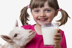 Аллергия на козье молоко у ребенка