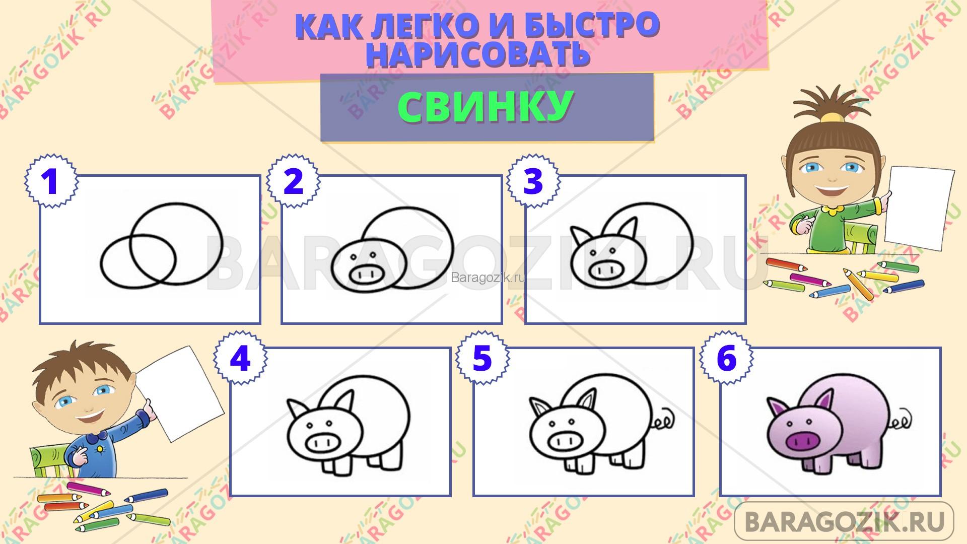 как легко нарисовать свинку - пошаговая схема