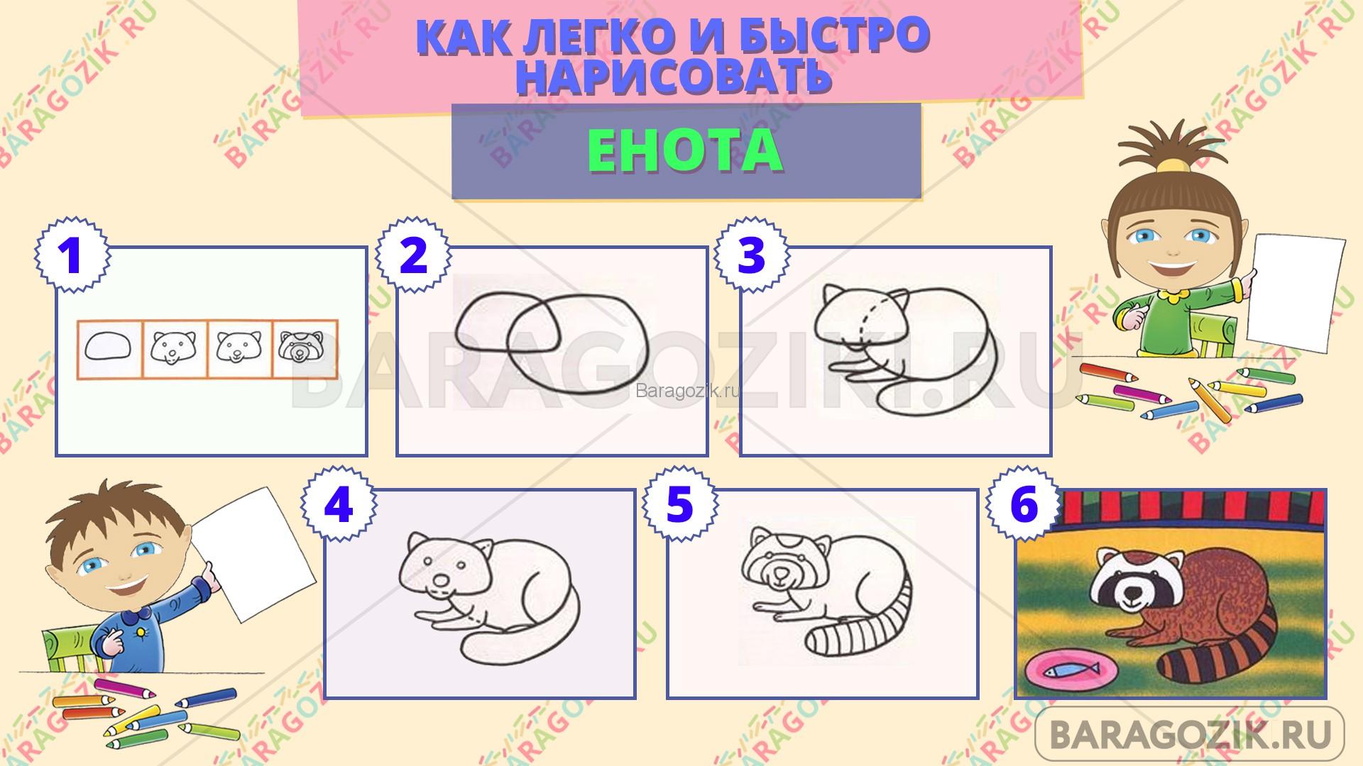 как легко нарисовать енота - пошаговая схема