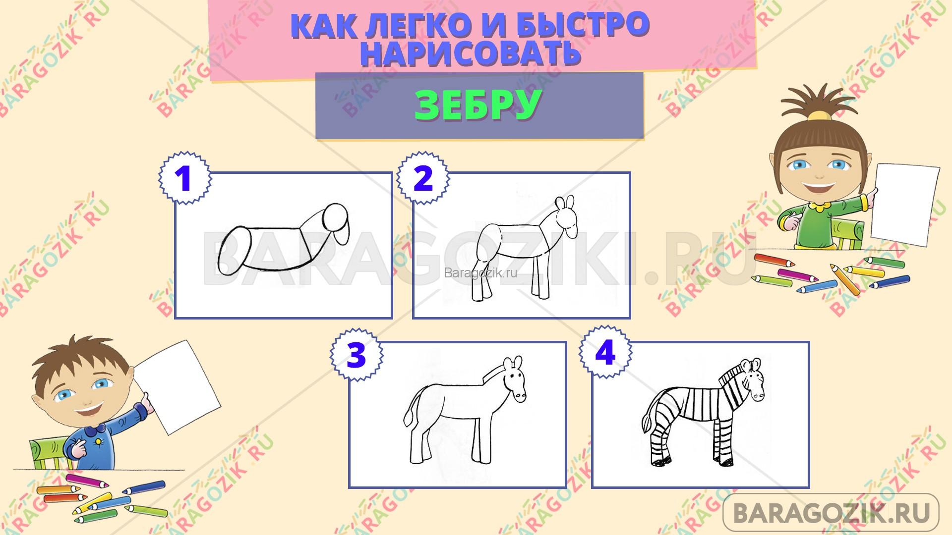 как легко нарисовать зебру - пошаговая схема