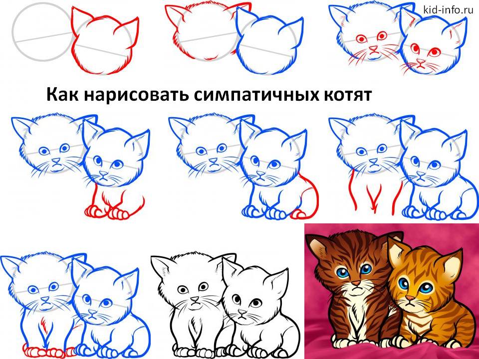 Как нарисовать симпатичных котят