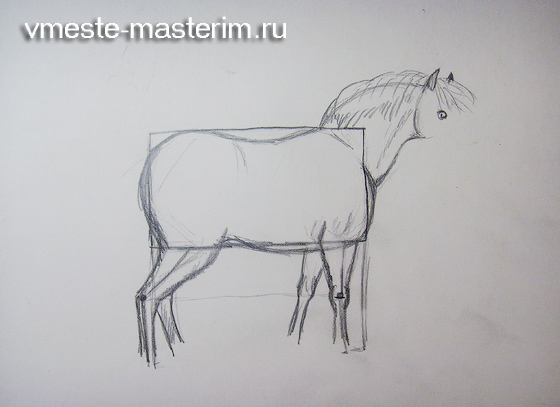 нарисовать красивую лошадь