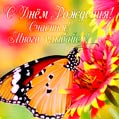 Яркая и позитивная открытка с бабочкой и красивой подписью поздравления с днем рождения