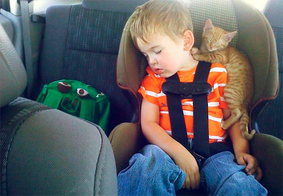 ребенок спит в машине