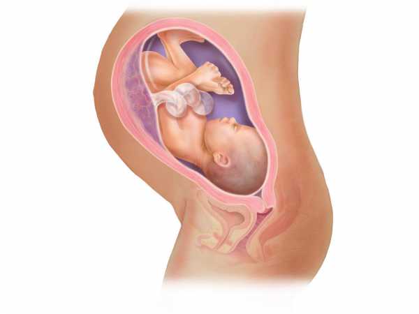 Может ли икать ребенок в утробе матери на 8 месяце беременности